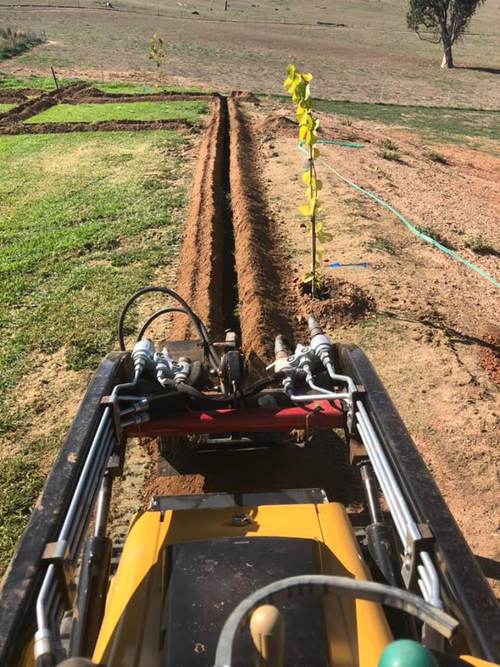 trenching prior to irrigation installation
